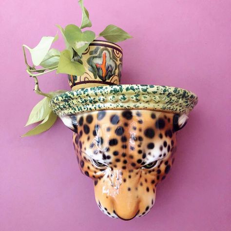 Leopard Statue, Leopard Head, Cheetahs, Leopards, Wall Shelf, Wall Plaques, Vintage Ceramic, Chinoiserie, Wall Shelves