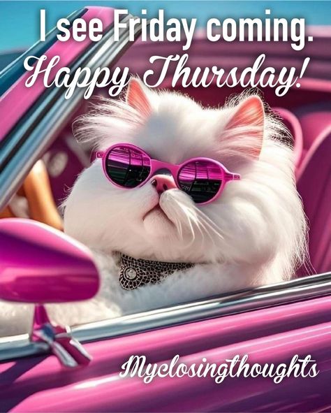 Happy Thursday Pictures, Carol King, Happy Thursday Images, Good Morning Animals, Thursday Greetings, Collection Of Flowers, Thursday Humor, Good Morning Happy Thursday, Happy Day Quotes