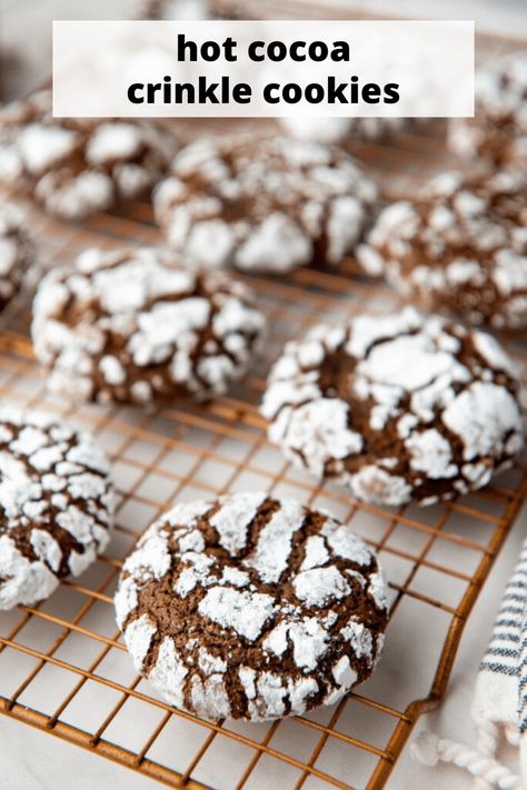 Hot Cocoa Crinkle Cookies melt in your mouth with the rich, chocolatey flavors of hot cocoa and a light dusting of sweet powdered sugar. The perfect chocolate cookie! They won't last long! #hotcocoachocolatecrinklecookies #chocolatecrinklecookies #crinklecookies. #Christmascookies #Christmascookies #Christmascookieexchange #Christmascookierecipe #holidaybaking #holidayrecipes #baking #easyrecipes #goodcookierecipes #comfortfood #comfortfoodideas Ginger Crinkle Cookies, Comfort Food Ideas, Hot Cocoa Cookies, Chocolate Crinkle, Mocha Chocolate, Hot Chocolate Cookies, Chocolate Crinkle Cookies, Cookie Recipes Homemade, Cocoa Cookies