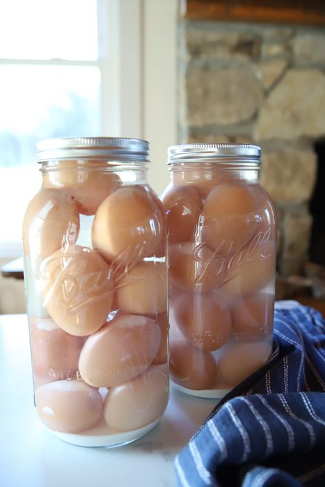 Water Glassing Eggs - Gracefully Home Water Glassing Eggs Recipe, Glassing Eggs, Egg Water Glassing, Glassing Eggs Recipe, Egg Glassing, Lime Water Eggs, Storing Eggs In Lime Water, Water Bath Eggs, Water Glass Eggs