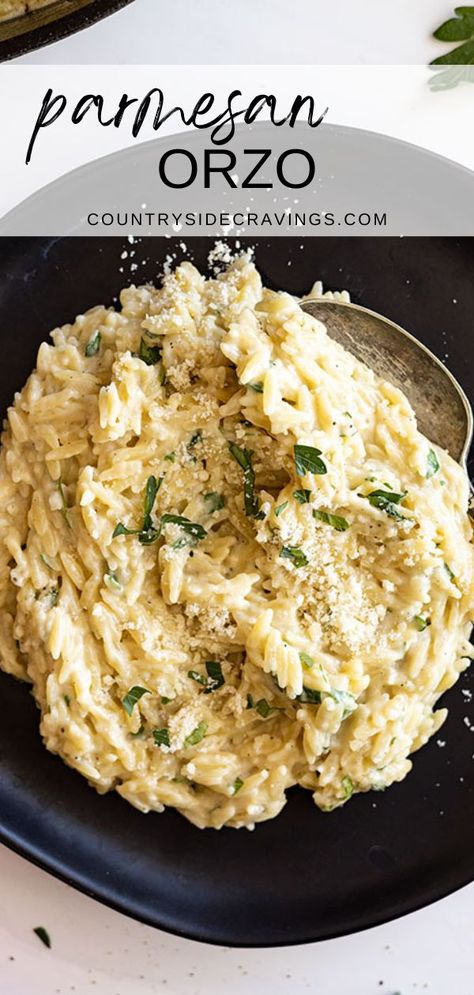 This Parmesan Orzo is creamy, cheesy and so quick, and easy to make! It makes a great side dish or top with rotisserie or grilled chicken for a main dish. If you have never tried cooking with orzo pasta you should. It cooks up extremely fast so you can have dinner on the table in a jiffy. And this parmesan orzo pasta is cheesy, creamy, and hard to stop at one bite. Parmesan Orzo Pasta, Creamy Parmesan Orzo, Creamy Orzo Recipes, Orzo Recipes Side, Joyous Apron, Parmesan Orzo, Parmesan Crusted Pork Chops, Creamy Orzo, Recipes Using Ground Beef