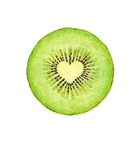 Kiwi Fruit Tattoo, Kiwi Fruit Drawing, Kiwi Illustration, Green Ios, Lilies Drawing, Fruit Tattoo, Harry Styles Tattoos, Cat Hotel, Supermarket Design