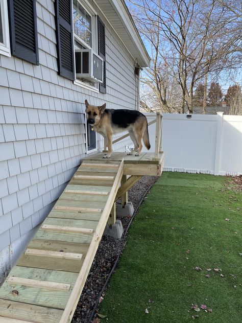 Dog Areas In Backyard Outdoor Spaces, Dog Run Off Garage, Diy Dog Ramp For Stairs Outdoor, Outdoor Dog Ramp For Stairs, Dog Backyard Playground, Dog Run Side Yard, Dog Ramp For Stairs, Porch With Ramp, Dog Ramp Diy