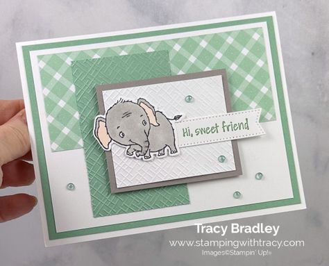 Baby Cards Stampin Up Ideas, Stampin Up Baby Cards, 3d Embossing Folders, Welcome Baby Cards, Baby Cards Handmade, Elephant Parade, Hello Cards, Stamping Ideas, Designer Series Paper