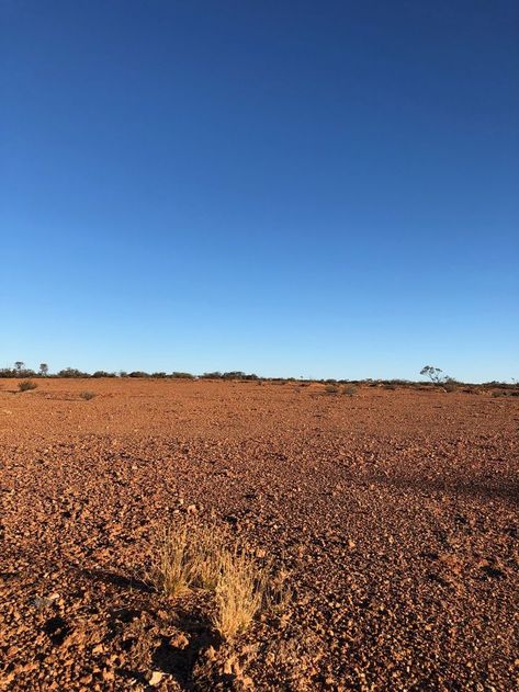 A lone plant in a barren landscape. Hell Hole Gorge National Park.  #SeeAustralia #OutbackQueensland Holes Aesthetic, Barren Landscape, Gibb River Road, Spring Dance, Dark Secrets, Wilderness Camping, Outback Australia, Inspiring Photos, Visual Storytelling