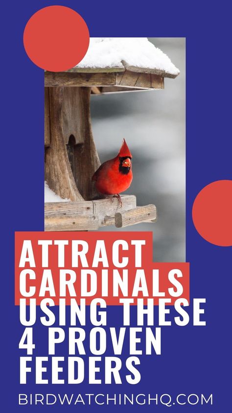 Cardinal House Diy, Sunflower Seed Bird Feeders Diy, Diy Cardinal Bird Feeder, Oriole Bird Feeders Diy, Cardinal Bird House Plans, Cardinal Bird Feeder, Bird Feeders Diy, Cardinal Bird House, Oriole Bird Feeders