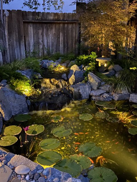 Koi Pond Lighting, Japanese Pond Garden, Garden Ponds Ideas, Japanese Koi Pond, Japanese Pond, Koi Garden, Ponds Ideas, Fish Ponds Backyard, Raised Pond