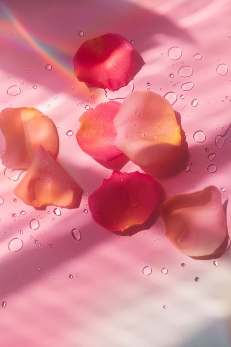 Rose Beauty Products, Rose Water Photography, Flower Petals Aesthetic, Rose Water Aesthetic, Petal Aesthetic, Rose Petals Aesthetic, Pink Beauty Aesthetic, Rose Patels, Stylish Beatnik