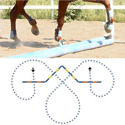 Pole Patterns For Horses, Horse Polework Exercises, Pole Work Exercises For Horses, Pole Exercises For Horses, Pole Work For Horses, Equestrian Jumping Exercises, Horse Cavaletti Exercise, Jumping Excersises For Horses, Showjumping Course