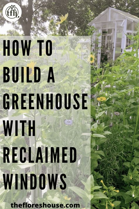 How to build a garden shed greenhouse with reclaimed windows and other materials! If you’re interested in building your own greenhouse but aren’t sure where to start, look no further than this guide on how to build the perfect DIY greenhouse with old windows and other recycled materials! #gardening #gardenprojects #gardendiy #upcycle #greenhouse Build Greenhouse From Old Windows, Build A Greenhouse With Old Windows, Greenhouse Made From Old Windows Diy, Greenhouses Made Out Of Old Windows, Small Greenhouse Diy Old Windows, Greenhouse Window Ideas, Reclaimed Windows Greenhouse, Repurposed Greenhouse Ideas, Greenhouse Of Old Windows