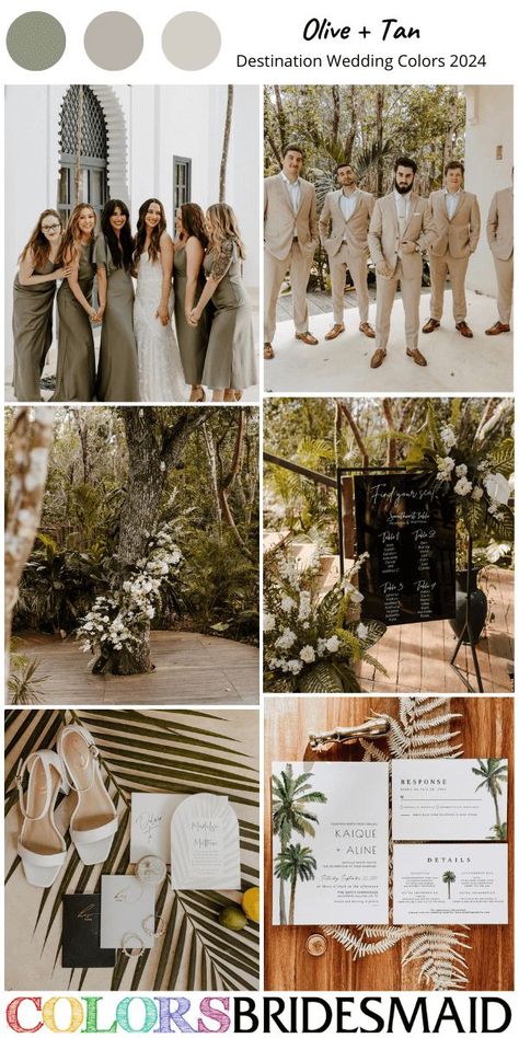 Bridesmaid Dresses Tan, Tan Wedding Colors, Tan Groomsmen Suits, Tan Groomsmen, Olive Green Bridesmaid, Destination Wedding Colors, Olive Bridesmaid Dresses, Top Wedding Colors, Olive Green Bridesmaid Dresses