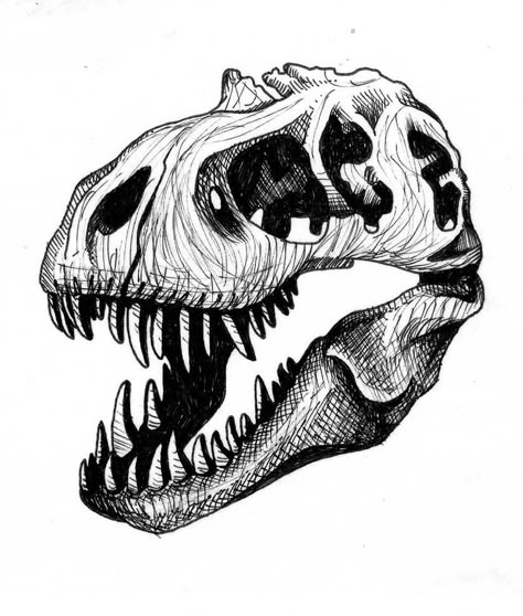 824x970 Trex Dinosaur Skull Tattoo Design, Trex Skeleton Tattoo, Trex Skeleton Drawing, Dino Skull Drawing, Trex Skull Drawing, T Rex Skull Drawing, Dino Skeleton Tattoo, Trex Skull Tattoo, Dinosaur Skeleton Drawing