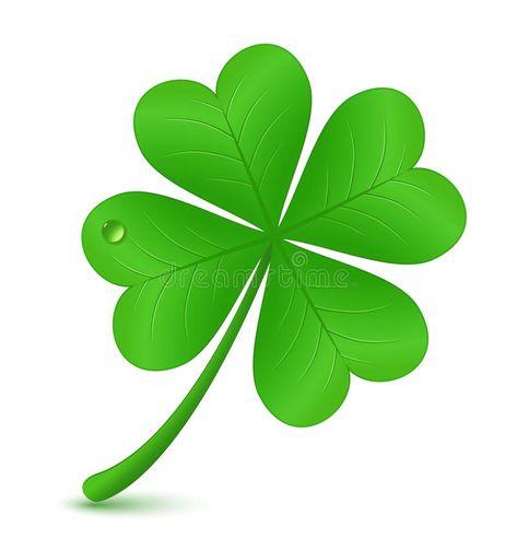 Robert Roth, Celtic Druids, St Patricks Day Quotes, Clover Tattoos, Three Leaf Clover, Christian Traditions, Day Quotes, Four Leaves, Four Leaf