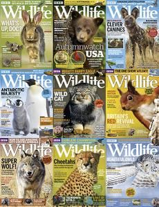 BBC Wildlife - Full Year 2018 Collection Wildlife Magazine, National Geographic Photography, Brochure Design, Graphic Poster, National Geographic, Wild Cats, Bbc, Free Download, Magazine