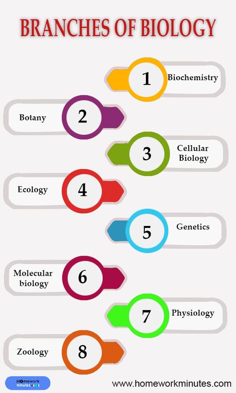 Branches of biology  #cellbiology #marinebiology #astrobiology #biologymajor #biologystudents #biologylovers #alevelbiology #biologyofbelief #biologyart #neurobiology #molecularbiology #biologymemes #gcsebiology Homework Help Website, Biology Of Belief, Branches Of Biology, Biology Memes, Biology Major, A Level Biology, Biology Art, Assignment Writing Service, Cell Biology