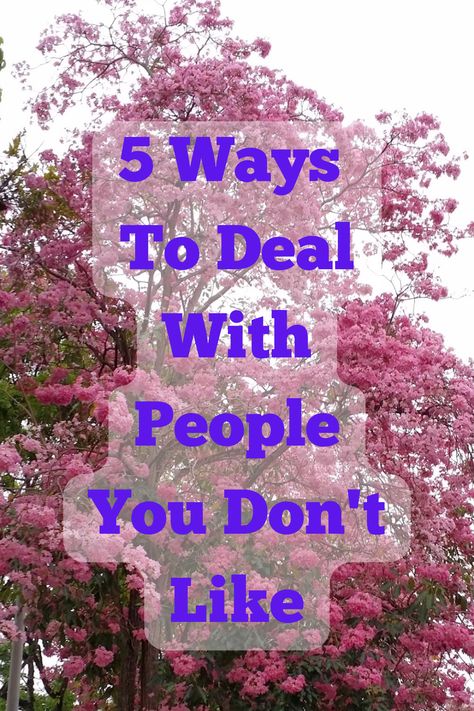 How To Like Someone You Don't Like, Dealing With People You Cant Stand, When You Don’t Like Someone, How To Deal With Arrogant People, How To Work With People You Dont Like, How To Deal With People You Don’t Like, People Can Be So Mean, How To Deal With People Not Liking You, How To Get Along With People