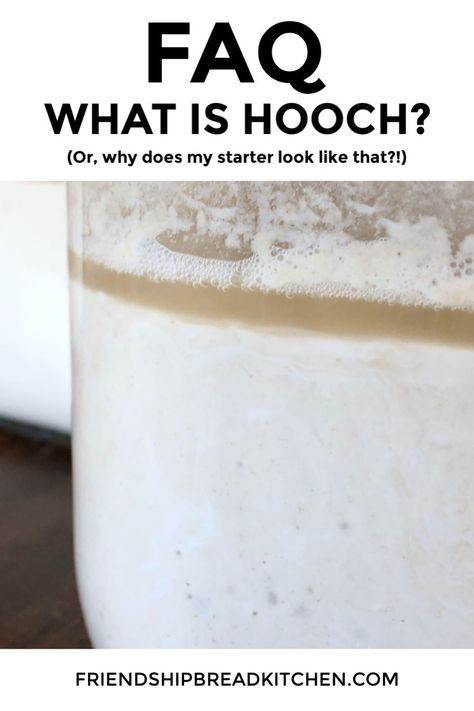 Have you ever discovered your sourdough starter separated or with an oily film on top? This separation is called a Hooch. Discover what causes it and what it means when this happens. Learn how to fix your Amish Friendship bread starter and how to find out if your starter is spoiled. Hooch On Sourdough Starter, Sourdough Beginner, Starter Sourdough, Amish Friendship Bread Starter Recipes, Friendship Bread Recipe, Gluten Free Sourdough Starter, Friendship Bread Starter, Amish Bread, Amish Friendship Bread