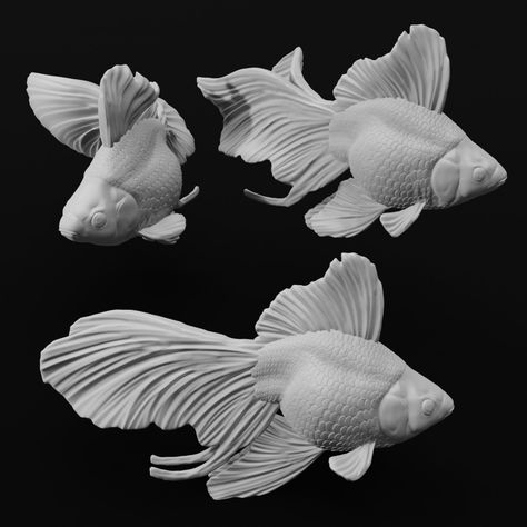 Goldfish Sculpture, Fish Statue, Fish Fin, Fancy Goldfish, Fish Model, Fish Tales, Face Jewellery, Patio Wall, Shoe Design