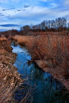 Dark Autumn, Blue Pictures, Colour Board, Brown Aesthetic, Autumn Aesthetic, Nature Aesthetic, Blue Aesthetic, Beautiful Landscapes, Blue Orange