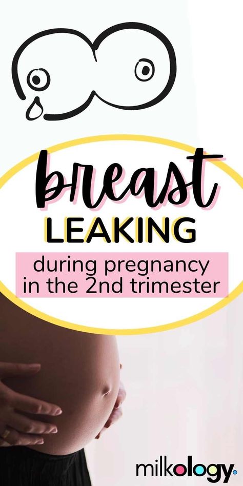 Pregnancy 2nd Trimester, 2nd Trimester Pregnancy, Very Early Pregnancy Symptoms, 19 Weeks Pregnant, Extended Breastfeeding, 20 Weeks Pregnant, Breastfeeding Positions, Pregnancy Labor, 3rd Trimester