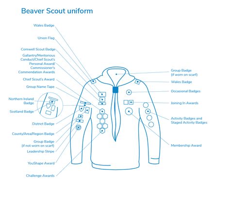 Scouts Activities, Beaver Scouts, Skills For Life, Cub Scout Activities, Scout Activities, Cub Scout, Blue Trousers, Cub Scouts, Blue Sweatshirt