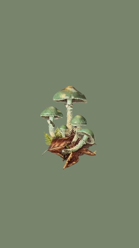 Goblincore Homescreen, Mushroom Icon, Green Wallpaper Phone, Mystic Wallpaper, Mushroom Wallpaper, Aesthetic Lockscreens, Dark Grunge, Whatsapp Wallpaper, Hippie Wallpaper