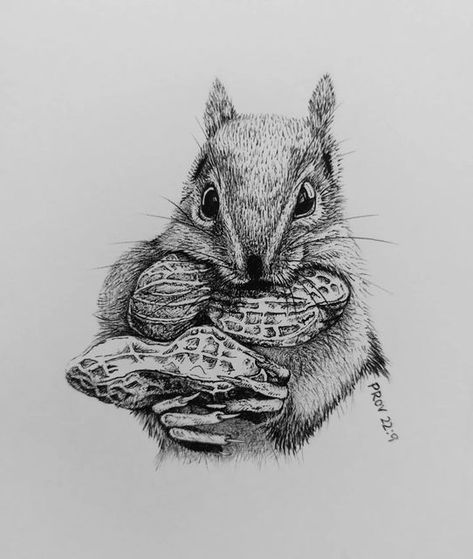 Animal Eating Drawing, Snacks Sketch, Snack Inktober, Snacks Inktober, Snack Sketch, Eating Sketch, Snacks Drawing, Snack Drawing, Animal Sketching