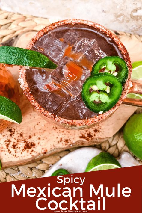 Mexican Alcoholic Drinks, Spicy Mule, Mexican Mule Recipe, Moscow Mule Drink Recipes, Mexican Mule, Party Punches, Hispanic Recipes, Mexican Chili, Moscow Mule Recipe