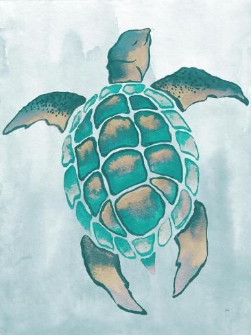 size: 12x9in Art Print: Aquatic Turtle II by Elizabeth Medley : Sea Turtle Artwork, Sea Creatures Drawing, Seahorse Wall Art, Embroidery Animals, Turtle Images, Fishing Art, Sea Turtle Art, Turtle Drawing, Sea Life Art