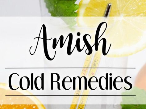 Flu Fighters: Amish Wisdom and Natural Remedies - NewsBreak Apple Cider Vinegar Tonic, Cough Syrup Recipe, Amish Buggy, Sore Throat And Cough, Drinking Vinegar, Sooth Sore Throat, Asian Rice, Ear Infections, Holistic Approach To Health