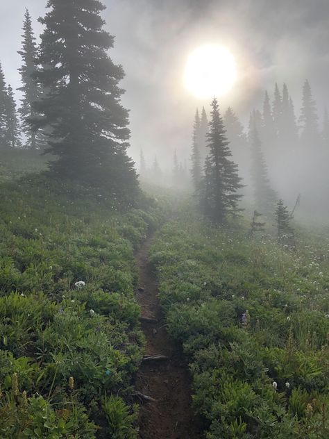 Morning Fog, Foggy Morning, Blue Lake, In The Woods, Trees, Lake, Blue, Nature