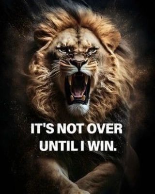 Until I Win, Lioness Quotes, Lion Motivation, Raj Kumar, Lion Quotes, Lion Photography, Wild Lion, Lion Images, Man Up Quotes