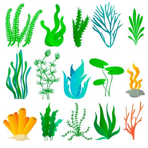 Sea plants and aquarium seaweed set | Premium Vector #Freepik #vector #leaf #cartoon #doodle #plant Aquarium Drawing, Leaf Cartoon, Vector Leaf, Ocean Plants, Cartoon Sea Animals, Underwater Plants, Marine Plants, Plant Clips, Underwater Painting