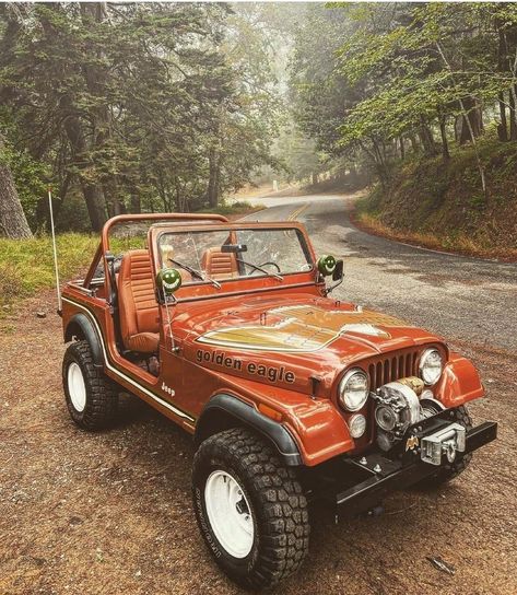 Vintage Jeep Wrangler, Jeep Ads, Orange Jeep, Wisconsin Vacation, Cj Jeep, Custom Jeep Wrangler, Classic Jeeps, Vintage Jeep, Car Deco