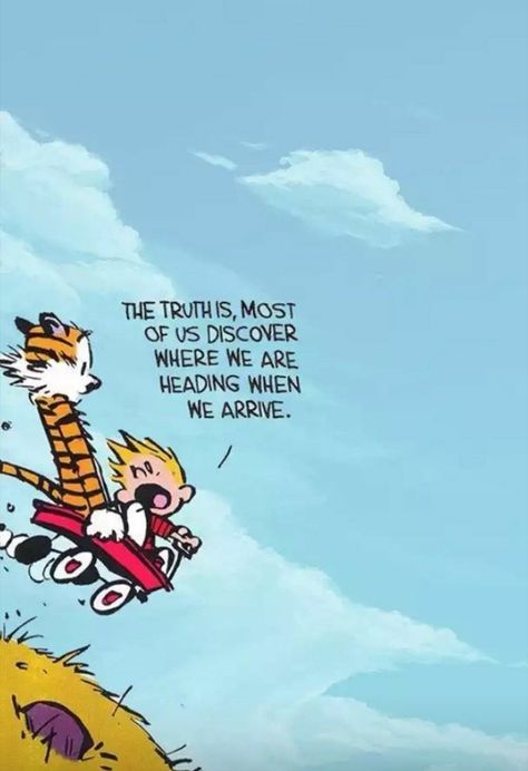 Calvin And Hobbes Tattoo, Calvin And Hobbes Wallpaper, Best Calvin And Hobbes, Calvin And Hobbes Quotes, Grad Quotes, Calvin And Hobbes Comics, Calvin Hobbes, Cartoon Strip, Artsy Pictures