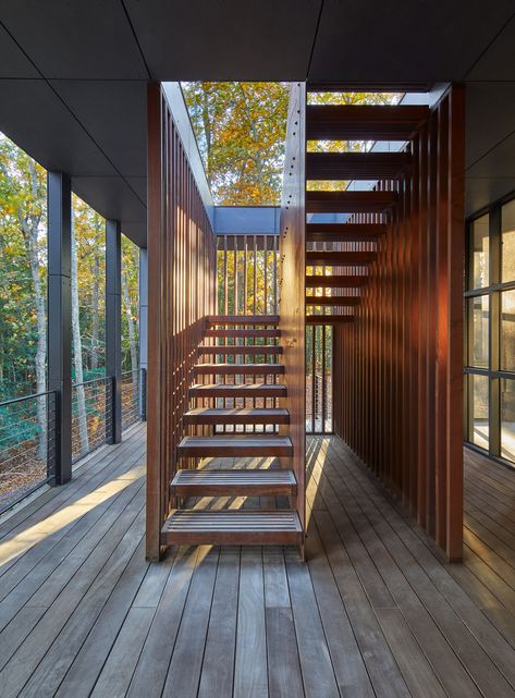 Image 4 of 40 from gallery of Gallery House / Robert Gurney. Photograph by Anice Hoachlander Outside Staircase, Stair Shelves, Gallery House, Staircase Design Modern, Horse Barn Plans, Concept Models Architecture, Glass Stairs, Metal Gates, Minimalist House Design