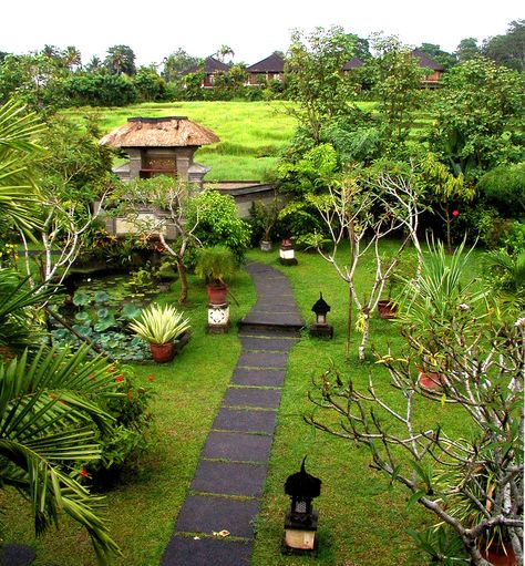 Filipino Garden, Bali Garden, Island Garden, Balinese Garden, Bali Villas, Tropical Landscape Design, Small Japanese Garden, Backyard Sanctuary, Tropical Garden Design