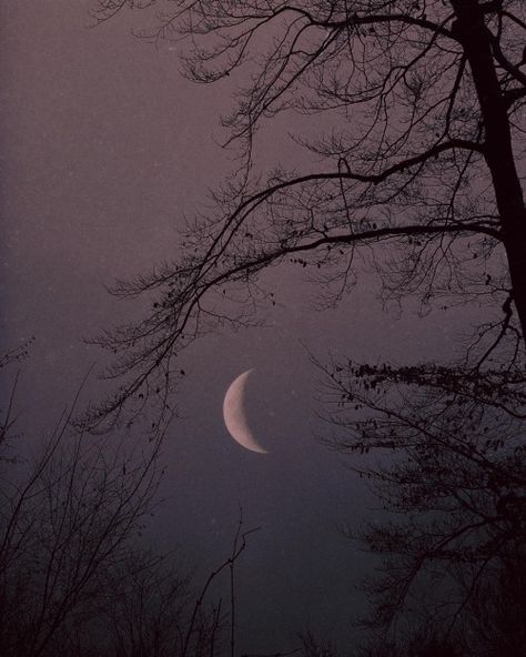 Andrea + Core + Aesthetic, Lauren + Core + Aesthetic, Nona Limmen, Gothic Romance, Black Phone Wallpaper, Gothic Aesthetic, Dark Gothic, Witch Aesthetic, Practical Magic