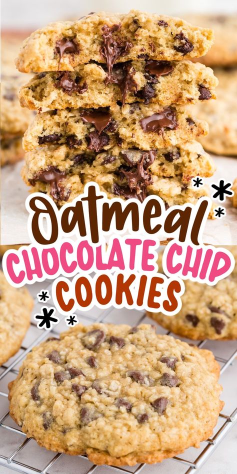 Oatmeal Chocolate Chip Cookies are chewy on the inside, crunchy on the outside, and loaded with gooey chocolate chips! Enjoy these cookies with a glass of milk as a breakfast treat or snack. Chewy Chocolate Oatmeal Cookies, Cookies With Chocolate Chips Recipes, Chocolate Chop Cookies, Chocolate Chip Cookies With Oatmeal, Oatmeal Cinnamon Chip Cookies, Oatmeal And Chocolate Chip Cookies, Oatmeal Walnut Chocolate Chip Cookies, Oatmeal Chocolate Chip Cookie Recipe Chewy, Oatmeal Chocolate Chip Cookie Recipe Easy