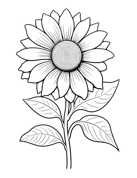 Realistic Sunflower Coloring Page - An advanced, realistic drawing of a sunflower. Sunflower Embroidery Pattern Templates, Sunflower Coloring Pages Free Printable, Sunflower Pattern Free Printable, Sunflower Template Free Printable, Sunflower Drawing Simple, Drawing Of A Sunflower, Flower Coloring Pages Free Printable, Sunflower Embroidery Pattern, Sunflower Coloring Page