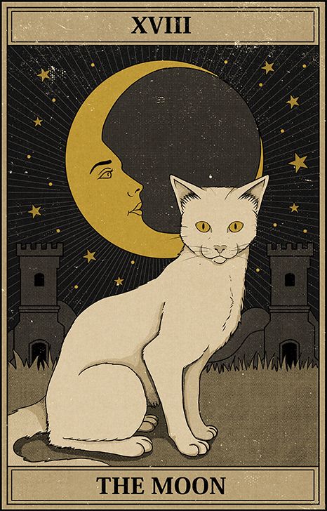 Collage Des Photos, Vintage Tarot, Collage Mural, Cat Vintage, رعب نفسي, Tarot Cards Art, 카드 디자인, Picture Collage Wall, Tarot Art