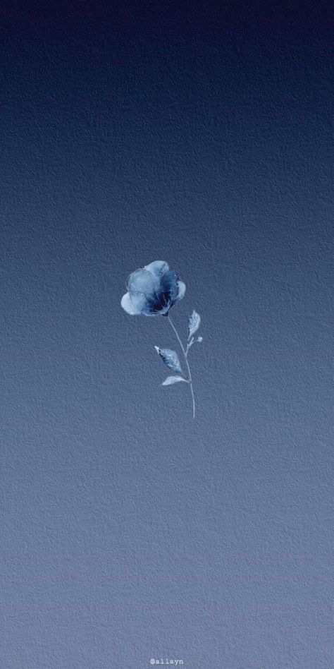 Wallpaper Plant, Blue Grey Wallpaper, Blue Flowers Background, Blue Aesthetic Wallpaper, Baby Blue Wallpaper, Blue Background Wallpapers, Blue Butterfly Wallpaper, Dark Blue Flowers, Blue Flower Wallpaper