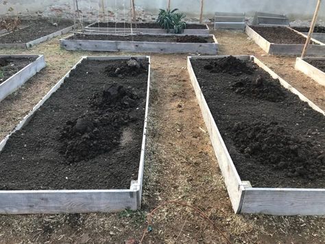 How to Prepare Your Raised Beds for Winter - The No Dig Way! Garden Prepping, Red Worms, Fall Vegetables, Overwintering, Spring Nights, True Winter, Cold Spring, Herbaceous Perennials, Hardy Perennials