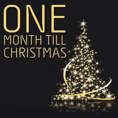 Yay 1 Month Till Christmas, 6 Months Till Christmas, One Month Till Christmas Quotes, One Month, Keep Calm Artwork, Christmas Crafts, Fragrance, Christmas Tree, Holiday Decor