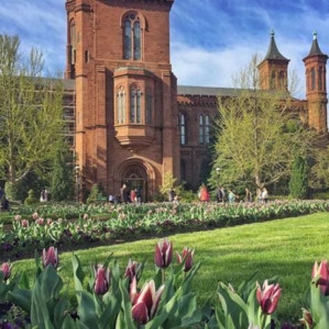 Smithsonian Institution Museums in Washington, DC | Washington DC Smithsonian Museum Washington Dc, Museums In Washington Dc, Visit Dc, Dc Washington, Smithsonian Museum, History Of Art, National Mall, Travel Wishlist, Smithsonian Institution