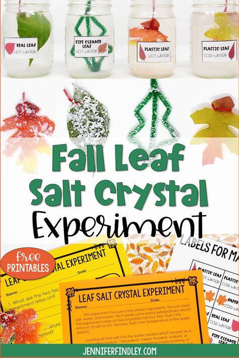 Salt Crystal Leaves Experiment, Salt Crystal Leaves, Crystal Experiment, Salt Experiment, Rock Experiments, Homeschool Halloween, Free Reading Passages, Borax Crystals, Wooden Craft Sticks