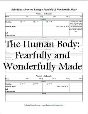 Apologia's Advanced and Other Biology Courses Apologia Anatomy, Human Body Lesson, Biology Lesson Plans, Classroom Decor High School, Nursing Mnemonics, Fearfully And Wonderfully Made, Biology Lessons, Human Anatomy And Physiology, Science Units