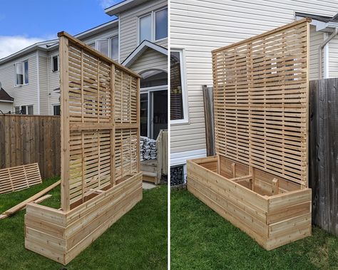 Privacy Planter, Building Raised Garden Beds, Building A Raised Garden, Backyard Privacy, Lee Valley, Patio Decorating Ideas On A Budget, Have Inspiration, Planter Box, Garden Boxes