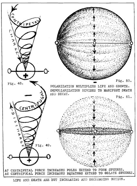 Centripetal Force, Sacred Geometry Patterns, Sacred Geometry Symbols, Sacred Geometry Tattoo, Sacred Science, Geometry Tattoo, Sacred Geometry Art, Geometry Pattern, Physics And Mathematics