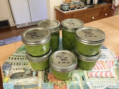 Garlic Scape Pesto Recipes, Lowcarb Soups, Pesto Ideas, Scape Recipes, Scape Pesto Recipe, Preserving Garlic, Ranch Garden, Scape Pesto, Garlic Scape Pesto